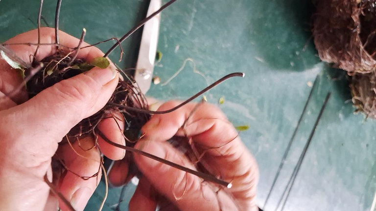 Naturmaterial (Gräser, Zweige…) wie beim Korbflechten durch die Drahtstäbe weben. Begonnen wird am Mittelpunkt des Sterns. 