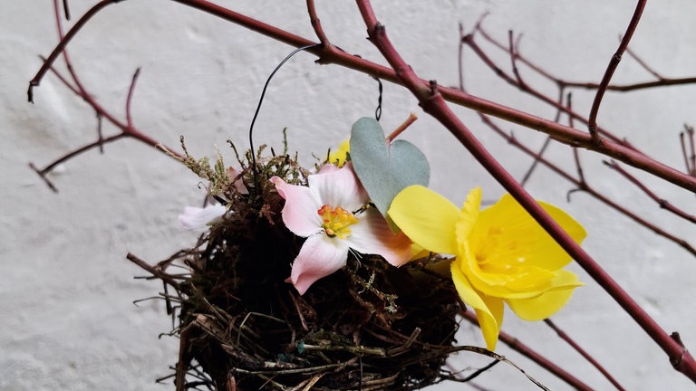 kleinen Vögeln, Steckschaum in Folie und Frischblumen… 