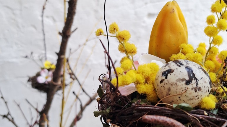 Wie die Nester gefüllt werden, ist variabel: Mit Eiern, Wachteleiern...