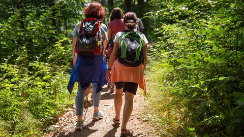 Beliebte Wanderrouten in Rheinland-Pfalz