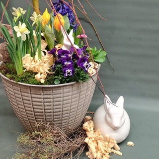 Balkonkasten für Ostern neu bepflanzen