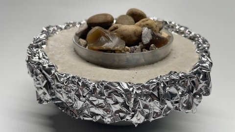 Betonschale für Sukkulenten