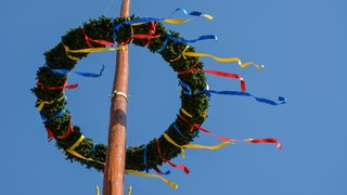 Maibaum mit bunten Bändern