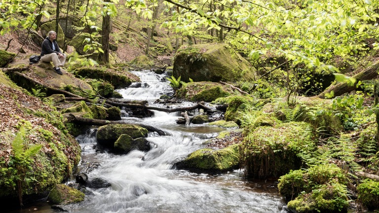 Hier können ihr euch in Rheinland-Pfalz abkühlen: Karlstalschlucht
