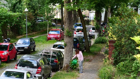Eine Frau gießt einen Stadtbaum