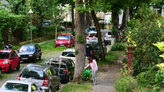 Eine Frau gießt einen Stadtbaum