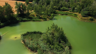 Eine kleine grün bewachsene Insel inmitten einer ehemaligen Grube, die nun voller Wasser ist.