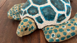 Schildkröte aus Pappmaché 
