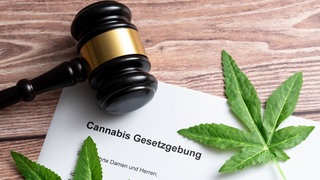 Cannabis-Gesetz: Hat der Cannabis-Konsum nach der Teil-Legalisierung vor einem Jahr so stark zugenommen, wie Kritiker befürchtet haben? In Stuttgart lässt sich aus Abwasserdaten, Stimmen aus Justiz, Polizei und der zentralen Suchtklinik eine Bilanz ziehen.