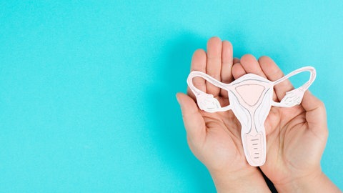Endometriose betrifft schätzungsweise zehn bis 15 Prozent aller Frauen im gebärfähigen Alter. Bislang ist jedoch kaum etwas über die Ursachen der Krankheit bekannt und wie man sie behandeln kann.