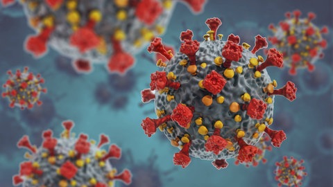 Symbolbild von einem Corona-Virus, das auch in der Erkältungswelle in diesem Herbst wieder auftaucht. 