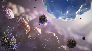 Zelluläre Immunantwort. Paul-Ehrlich-Preis 2025