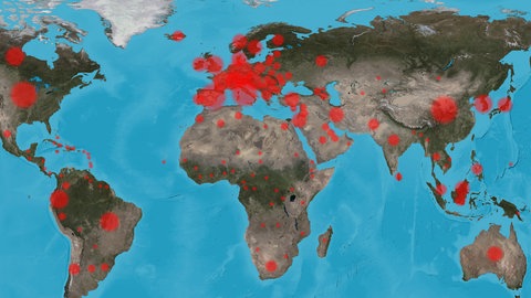 US-Präsident Donald Trump hat kurz nach Amtsantritt den Rückzug seines Landes aus der Weltgesundheitsorganisation (WHO) angeordnet. Welche Folgen hat das für die globale Gesundheitspolitik?