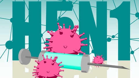 Die Vogelgrippe H5N1 ist eigentlich eine Tier-Krankheit. Jetzt hat Finnland begonnen, Menschen gegen Vogelgrippe zu impfen. Wieso machen die Finnen das, droht eine neue Pandemie? Antworten auf die wichtigsten Fragen.