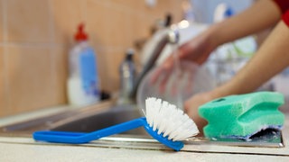 Spülbürste und Schwamm: In der Küche hat ein Schwamm zum Reinigen eigentlich nichts zu suchen; er ist unhygienisch. Tücher sind besser, weil sie sich  besser in der Waschmaschine reinigen lassen. Wenn Sie die Wahl haben zwischen Schwamm und Bürste, nehmen Sie die Bürste – die ist besser.