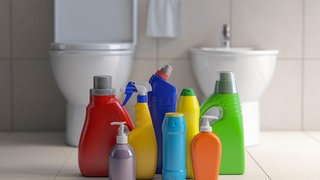 Putzzeug vor einer Toilette: Man würde es nie schaffen, in einem modernen Haushalt irgendetwas wirklich steril zu bekommen. Das hat auch keinen Sinn, der Mensch braucht Mikroben