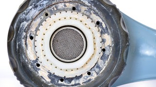 Verkalkter Duschkopf: Kalk in Perlator und Duschkopf ist ein idealer Nährboden für Mikroorganismen. Man sollte diese daher regelmäßig mit Säure reinigen.