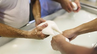 Produktion von Büffelmozzarella am Golf von Neapel. Der Käse wird beim Brühen geknetet und gezogen. Das führt zu der faserigen Struktur.