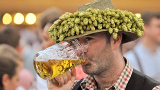 Ein Oktoberfestbesucher mit Hopfen am Hut trinkt eine Maß Bier: Hopfen hat eine entspannende Wirkung; er macht müde, und zwar unabhängig vom Alkohol. Deshalb kann auch alkoholfreies Bier müde machen – das enthält ebenfalls Hopfen. 
