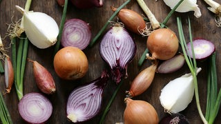Bunte Zwiebeln