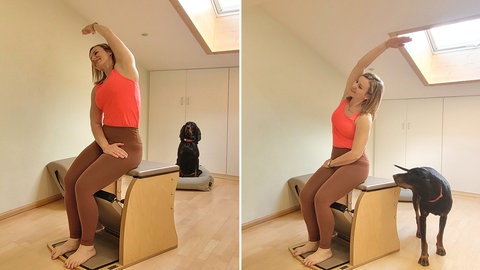 Pilatesübungen für den Rücken
