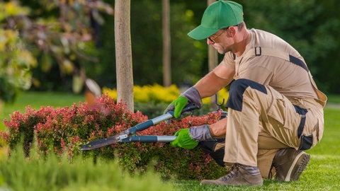 Rückenschonende Gartenarbeit