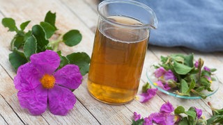 Heilpflanze: Tee aus Zistrose