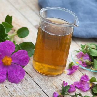 Heilpflanze: Tee aus Zistrose