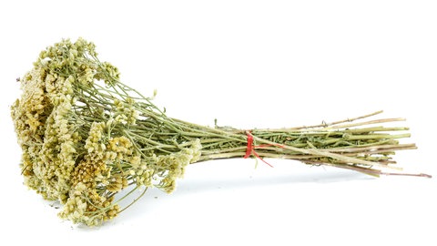 Getrocknete Wildkräuter - Heilpflanzen