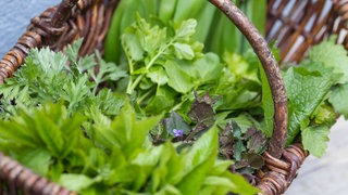 Heilpflanzen im Korb