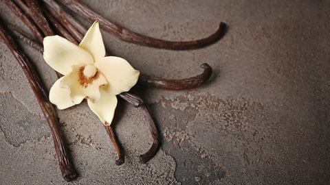 Vanilleschote und Blüte