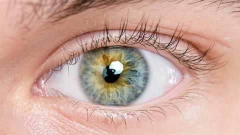 Offenes Auge, nah. Im Sommer sind die Augen besonderen Belastungen ausgesetzt, vor allem intensiver Sonneneinstrahlung. Welchen Schutz Sonnenbrillen bieten können - und Augentropfen bei Reizungen.