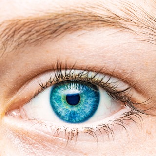 Ein Auge einer Frau.