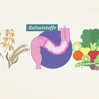 Grafische Darstellung verschiedener Vollkorn-Getreide kinks, mittig einem Darm und rechts verschiedene Gemüse- und Obstsorten. 