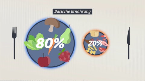 Grafik von einem großen Teller links und einem kleinen Teller rechts. Auf dem großen Teller ist Obst und Gemüse zu sehen und "80%" geschrieben. Auf dem kleinen Teller finden sich Brot, Nudeln und tierische Lebensmittel und die Zahl "20%".