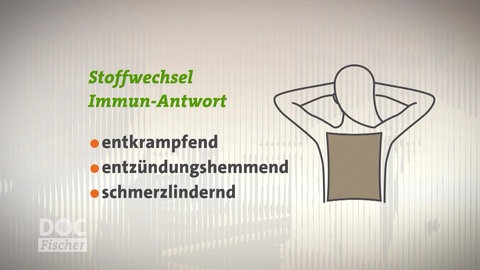 Wirkungen des Heilschlamms Fango zusammengefasst