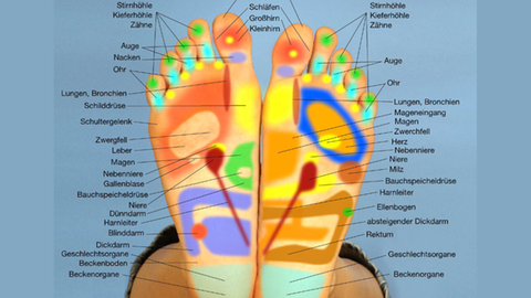 Jede Zone am Fuß steht in der Fußreflexzonentherapie für ein Organ oder eine Körperregion.