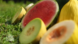 Melonen