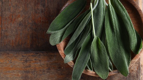 Salbeiblätter liegen in einer Holzschale.