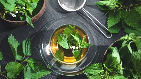 Brennnesseln liegen neben einer Tasse mit Brennnesseltee. Die Inhaltsstoffe der Brennnessel sollen etwa bei Nieren- und Harnwegerkrankungen oder bei Gelenkbeschwerden helfen.