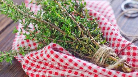 Eignet sich gut zum Trocknen: Ein Bündel Thymian liegt zusammengebunden auf einem Küchentuch.