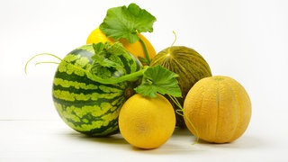 Wassermelone liegt neben verschiedenen Zuckermelonen