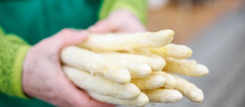 Zwei Hände halten weißen Spargel in die Kamera. Wie sind Qualität und Preise in der Saison 2023?