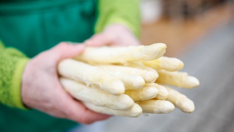 Zwei Hände halten weißen Spargel in die Kamera. Wie sind Qualität und Preise in der Saison 2023?
