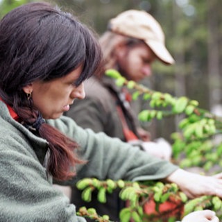 Zaneta und Johannes Frankenfeld sammeln Fichtenspitzen für ihren Waldsirup