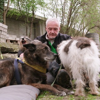 Tierheilpraktiker Christian Ergenzinger nimmt seine eigenen Hunde mit auf die Reise.