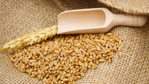 Darum ist Vollkornmehl gesünder als Weißmehl