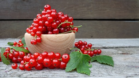 Deshalb sind Johannisbeeren so gesund