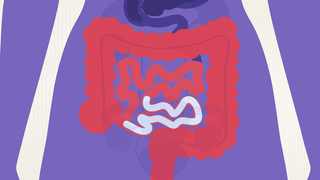 Darmträgheit kann unangenehm sein und im Extremfall sogar gefährlich werden. Es gibt Tipps, die für einen regelmäßigen Stuhlgang helfen.