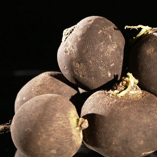 Schwarzer Rettich ist sehr gesund.